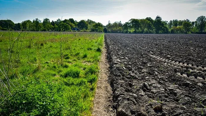 Goumbook Launches Second Round of Regenerative Agriculture Programme